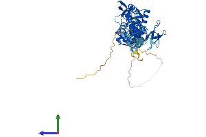 AlphaFold protein structure predicition of Mouse Recombinant Rnf14 Protein, UniprotID Q9JI90