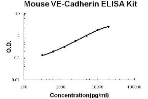Mouse VE-Cadherin/CD144 PicoKine ELISA Kit standard curve (Cadherin 5 Kit ELISA)