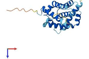 AlphaFold protein structure predicition of Human Recombinant BAX Protein, UniprotID Q07812