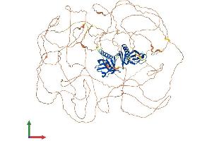 AlphaFold protein structure predicition of Mouse Recombinant Irs1 Protein, UniprotID P35569