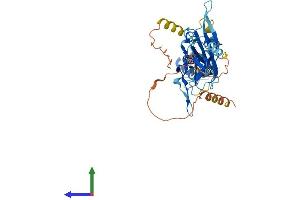 AlphaFold protein structure predicition of Mouse Recombinant Kcnj16 Protein, UniprotID Q9Z307