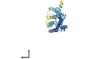 AlphaFold protein structure predicition of Human Recombinant OR56B1 Protein, UniprotID Q8NGI3