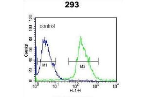 Flow Cytometry (FACS) image for anti-Kallikrein 6 (KLK6) antibody (ABIN3002615) (Kallikrein 6 anticorps)