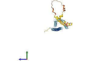 AlphaFold protein structure predicition of Human Recombinant HVCN1 Protein, UniprotID Q96D96
