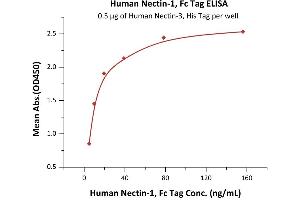 Immobilized Human Nectin-3, His Tag (ABIN4949136,ABIN4949137) at 5 μg/mL (100 μL/well) can bind Human Nectin-1, Fc Tag (ABIN6951010,ABIN6952290) with a linear range of 0.
