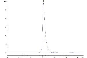The purity of Human MERTK is greater than 95 % as determined by SEC-HPLC.