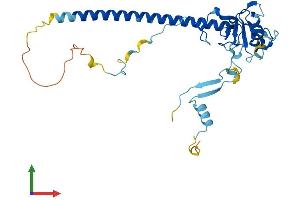 AlphaFold protein structure predicition of Mouse Recombinant Nosip Protein, UniprotID Q9D6T0