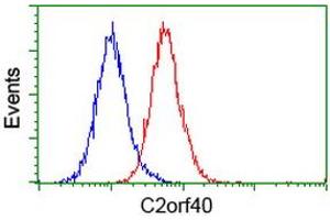 Image no. 3 for anti-Chromosome 2 Open Reading Frame 40 (C2orf40) antibody (ABIN1497047) (C2orf40 anticorps)
