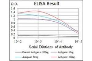ELISA image for anti-TNF Receptor Superfamily, Member 6 (FAS) antibody (ABIN1106616)