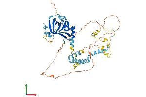 AlphaFold protein structure predicition of Mouse Recombinant Acd Protein, UniprotID Q5EE38