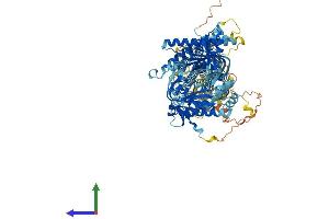 AlphaFold protein structure predicition of Human Recombinant ADCY7 Protein, UniprotID P51828