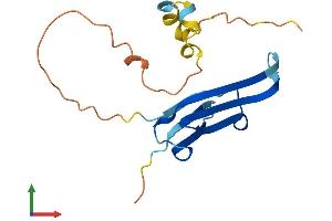 AlphaFold protein structure predicition of Mouse Recombinant Hspb3 Protein, UniprotID Q9QZ57