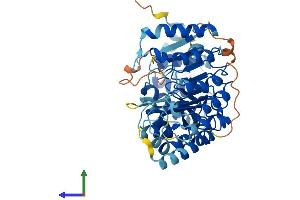 AlphaFold protein structure predicition of Human Recombinant PRAMEF18 Protein, UniprotID Q5VWM3