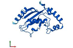 AlphaFold protein structure predicition of Human Recombinant UBE2L6 Protein, UniprotID O14933