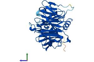 AlphaFold protein structure predicition of Mouse Recombinant Thoc6 Protein, UniprotID Q5U4D9