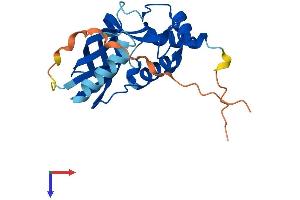 AlphaFold protein structure predicition of Mouse Recombinant Chac1 Protein, UniprotID Q8R3J5