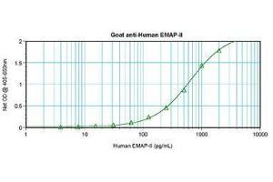 Image no. 1 for anti-AIMP1 / EMAP II antibody (ABIN465272) (AIMP1 / EMAP II anticorps)