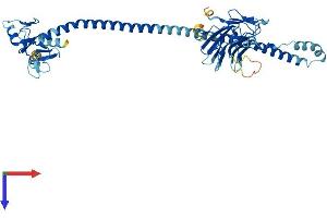 AlphaFold protein structure predicition of Human Recombinant TRIM60 Protein, UniprotID Q495X7