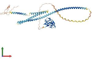 AlphaFold protein structure predicition of Human Recombinant SCARA5 Protein, UniprotID Q6ZMJ2