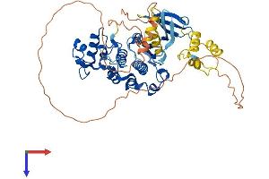 AlphaFold protein structure predicition of Mouse Recombinant Cdk16 Protein, UniprotID Q04735