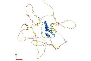 AlphaFold protein structure predicition of Mouse Recombinant Sox10 Protein, UniprotID Q04888