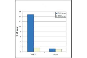 Chromatin Immunoprecipitation anti-MBD1 antibody Chromatin Immunoprecipitation performed with rabbit anti-MBD1 antibody.