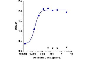 Immobilized human CLDN6 (VLP, 8 μg/mL) can bind to Anti- Human CLDN6( IMAB027) with an EC50 of 0. (Recombinant Claudin 6 anticorps)