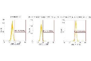 Flow Cytometry (FACS) image for anti-Interleukin 15 (IL15) (AA 49-162) antibody (PE) (ABIN5565745)