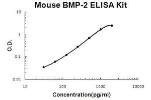Mouse BMP-2 EZ Set ELISA Kit standard curve (Souris BMP-2 EZ Set™ ELISA Kit (DIY Antibody Pairs))