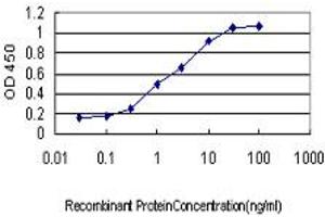 Detection limit for recombinant GST tagged SSR1 is approximately 0. (SSR1 anticorps  (AA 33-286))