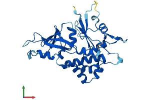 AlphaFold protein structure predicition of Human Recombinant ATG5 Protein, UniprotID Q9H1Y0