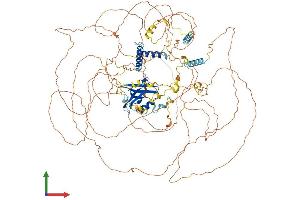 AlphaFold protein structure predicition of Mouse Recombinant Synpo2 Protein, UniprotID Q91YE8