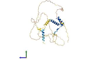 AlphaFold protein structure predicition of Mouse Recombinant Alx1 Protein, UniprotID Q8C8B0