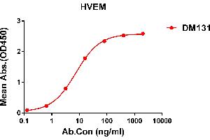 ELISA plate pre-coated by 1 μg/mL (100 μL/well) Human HVEM protein, His tagged protein ((ABIN6964089, ABIN7042433 and ABIN7042434)) can bind Rabbit anti-HVEM monoclonal antibody(clone: DM131) in a linear range of 0. (HVEM anticorps  (AA 39-202))