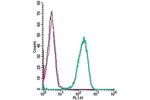 Cell surface detection of KCNQ1 by indirect flow cytometry in live intact human THP-1 monocytic leukemia cells: (black line) Cells.