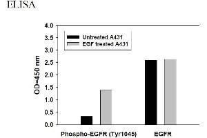 Image no. 3 for Epidermal Growth Factor Receptor (EGFR) ELISA Kit (ABIN625235) (EGFR Kit ELISA)