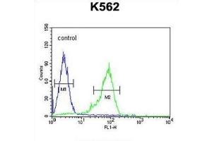 Flow Cytometry (FACS) image for anti-Glucagon-like peptide 1 (GLP-1) antibody (ABIN3002369)
