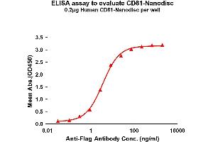 Elisa plates were pre-coated with Flag Tag CD81-Nanodisc (0.