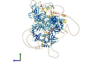 AlphaFold protein structure predicition of Human Recombinant RNF17 Protein, UniprotID Q9BXT8