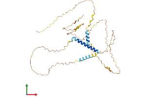 AlphaFold protein structure predicition of Human Recombinant C8orf58 Protein, UniprotID Q8NAV2