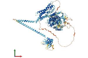 AlphaFold protein structure predicition of Mouse Recombinant Rasgrf2 Protein, UniprotID P70392