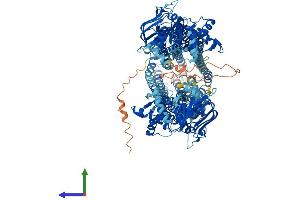 AlphaFold protein structure predicition of Mouse Recombinant Abcb1a Protein, UniprotID P21447