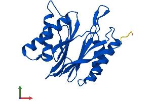 AlphaFold protein structure predicition of Human Recombinant PSMB2 Protein, UniprotID P49721