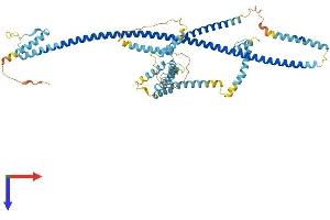 AlphaFold protein structure predicition of Human Recombinant CEP70 Protein, UniprotID Q8NHQ1