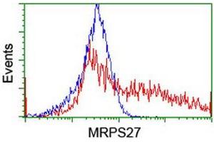 Image no. 8 for anti-Mitochondrial Ribosomal Protein S27 (MRPS27) (AA 151-414) antibody (ABIN1490963)