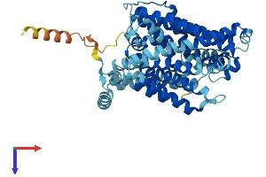 AlphaFold protein structure predicition of Human Recombinant SLC7A9 Protein, UniprotID P82251