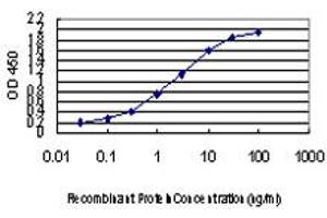 Detection limit for recombinant GST tagged CDK8 is approximately 0. (CDK8 anticorps  (AA 375-464))