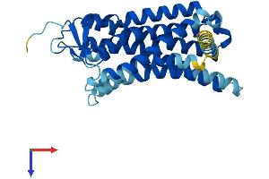AlphaFold protein structure predicition of Mouse Recombinant Or51e2 Protein, UniprotID Q8VBV9