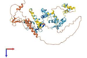 AlphaFold protein structure predicition of Human Recombinant ZNF230 Protein, UniprotID Q9UIE0
