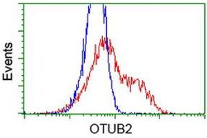 HEK293T cells transfected with either RC209650 overexpress plasmid (Red) or empty vector control plasmid (Blue) were immunostained by anti-OTUB2 antibody (ABIN2453409), and then analyzed by flow cytometry. (OTUB2 anticorps)